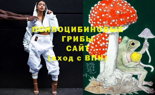 прущая мука Надым