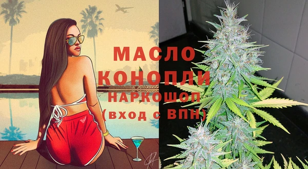 гидра Наволоки