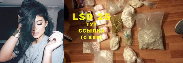 гидра Наволоки