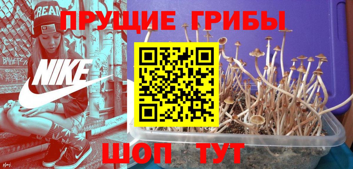 Псилоцибиновые грибы ЛСД Туапсе
