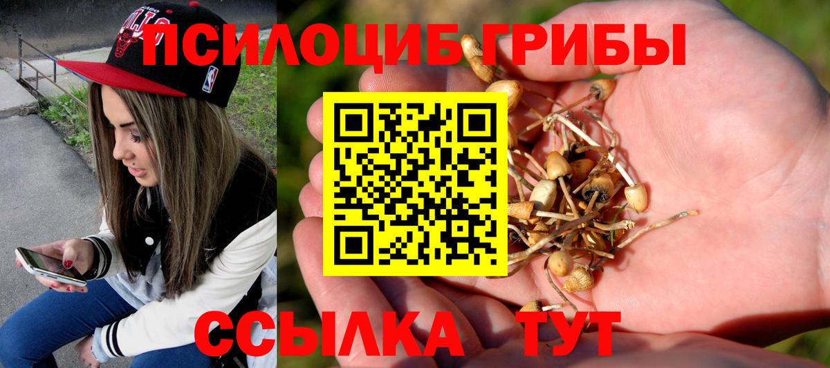 Псилоцибиновые грибы Psilocybe  Вход с VPN  Туапсе 